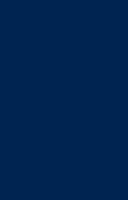 Lackiert Navy matt